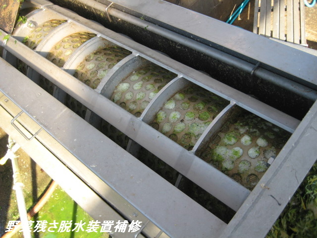 野菜脱水